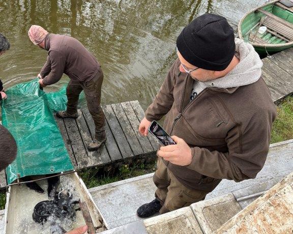 Haltelepítés 2025. április 10.