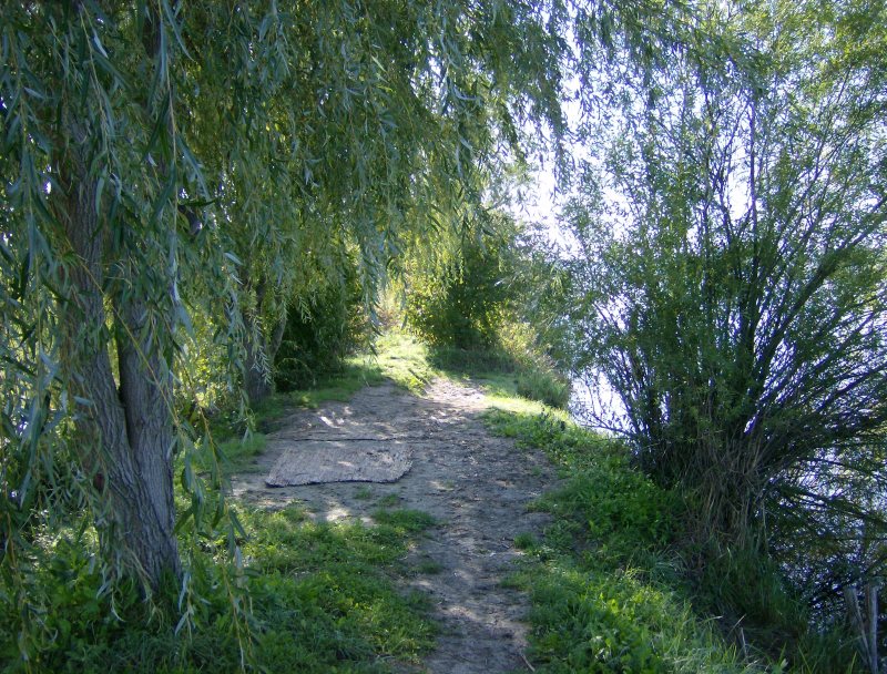 23. Faházas sziget horgászhely