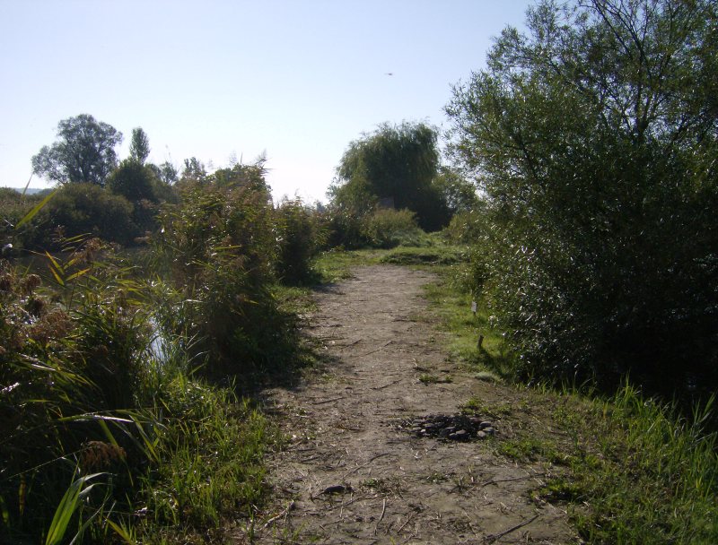 23. Faházas sziget horgászhely