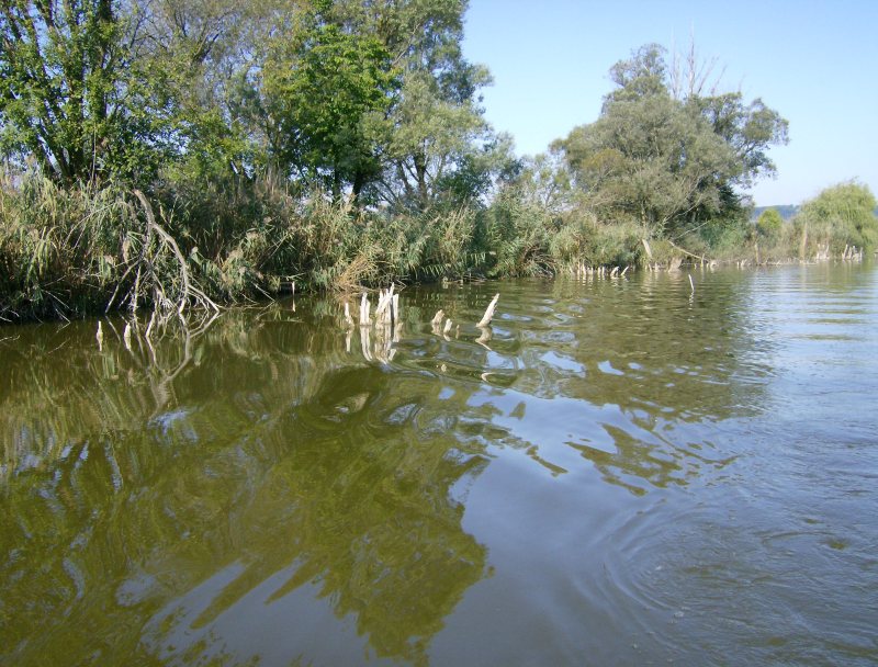 23. Faházas sziget horgászhely