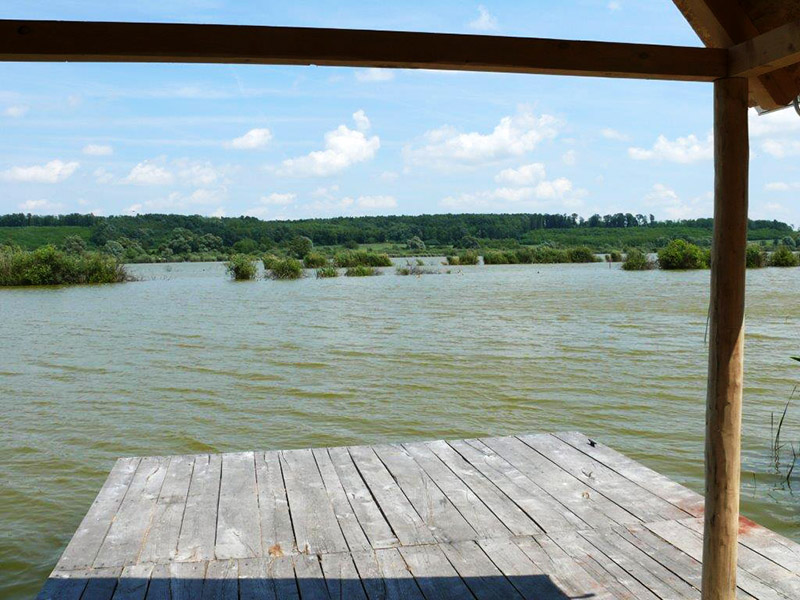 6. Faházas parti horgászhely