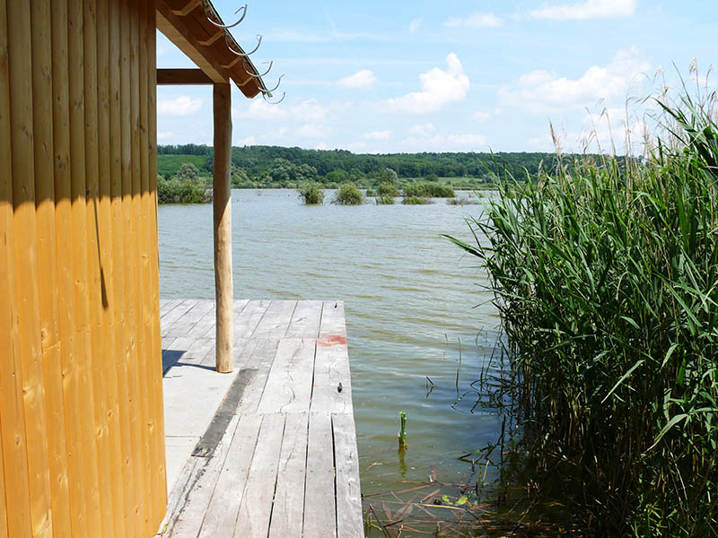 6. Faházas parti horgászhely